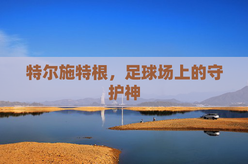 特尔施特根，足球场上的守护神
