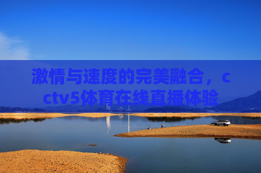 激情与速度的完美融合，cctv5体育在线直播体验
