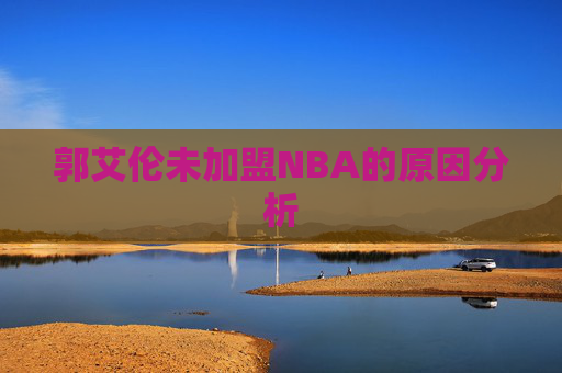 郭艾伦未加盟NBA的原因分析