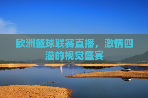 欧洲篮球联赛直播，激情四溢的视觉盛宴