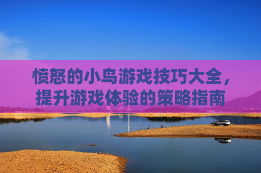 愤怒的小鸟游戏技巧大全，提升游戏体验的策略指南