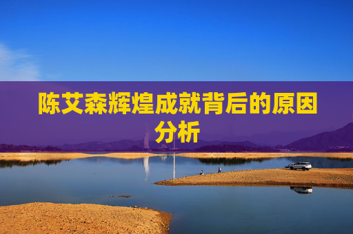陈艾森辉煌成就背后的原因分析