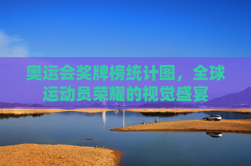 奥运会奖牌榜统计图，全球运动员荣耀的视觉盛宴