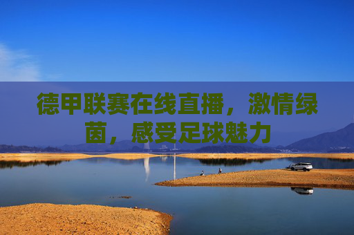 德甲联赛在线直播，激情绿茵，感受足球魅力