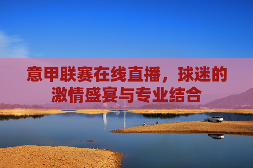意甲联赛在线直播，球迷的激情盛宴与专业结合