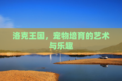 洛克王国，宠物培育的艺术与乐趣