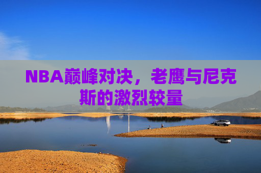 NBA巅峰对决，老鹰与尼克斯的激烈较量