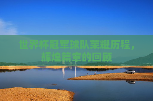 世界杯冠军球队荣耀历程，辉煌篇章的回顾