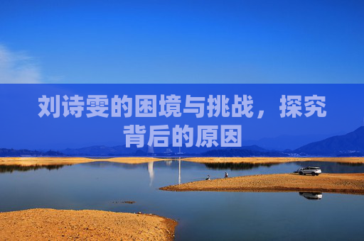 刘诗雯的困境与挑战，探究背后的原因