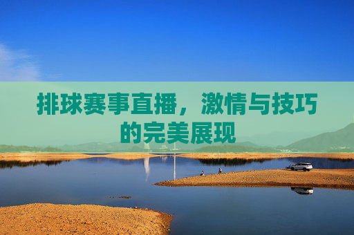 排球赛事直播，激情与技巧的完美展现