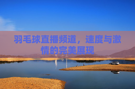 羽毛球直播频道，速度与激情的完美展现