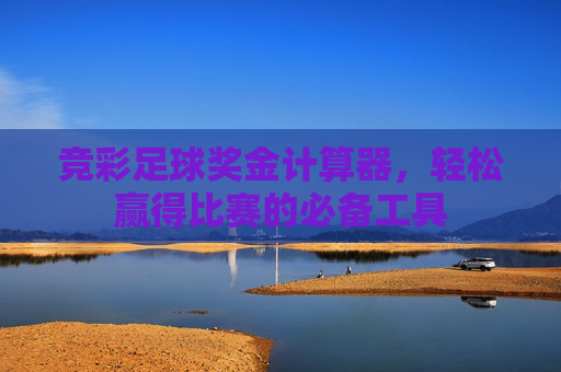 竞彩足球奖金计算器，轻松赢得比赛的必备工具