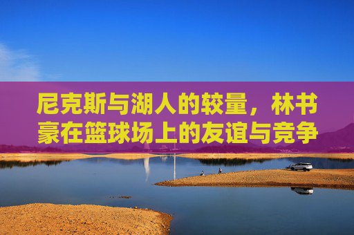 尼克斯与湖人的较量，林书豪在篮球场上的友谊与竞争
