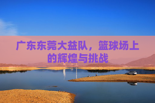 广东东莞大益队,篮球场上的辉煌与挑战 广东东莞大益队,篮球场上的辉煌与挑战