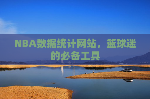 NBA数据统计网站，篮球迷的必备工具