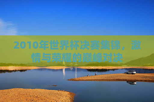 2010年世界杯决赛集锦，激情与荣耀的巅峰对决
