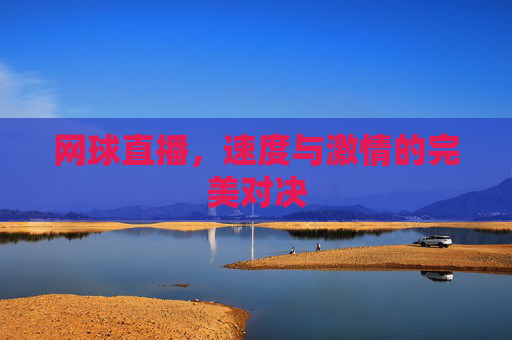 网球直播，速度与激情的完美对决