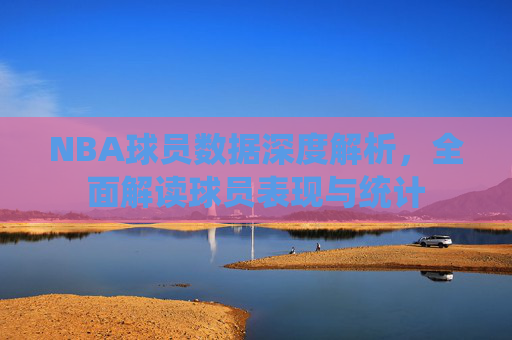 NBA球员数据深度解析，全面解读球员表现与统计