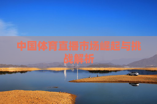 中国体育直播市场崛起与挑战解析