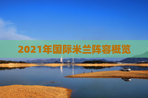 2021年国际米兰阵容概览