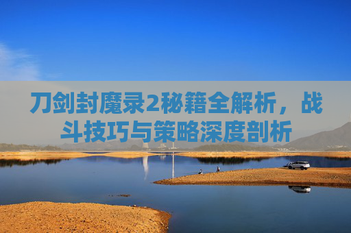 刀剑封魔录2秘籍全解析，战斗技巧与策略深度剖析