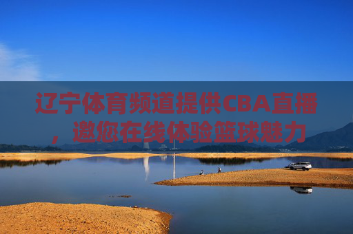 辽宁体育频道提供CBA直播,邀您在线体验篮球魅力 辽宁体育频道提供CBA直播,邀您在线体验篮球魅力