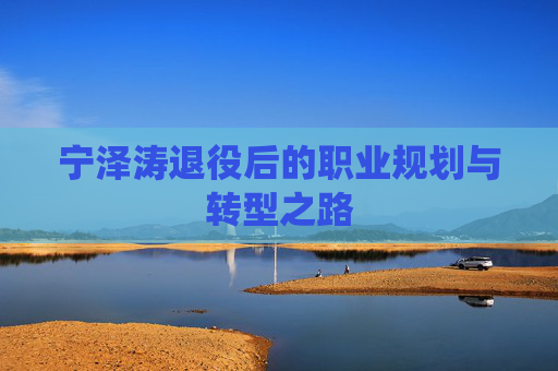 宁泽涛退役后的职业规划与转型之路