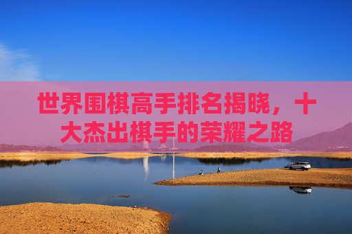 世界围棋高手排名揭晓，十大杰出棋手的荣耀之路