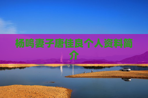 杨鸣妻子唐佳良个人资料简介
