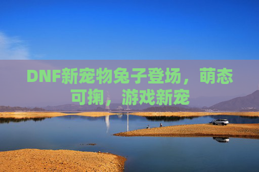 DNF新宠物兔子登场，萌态可掬，游戏新宠