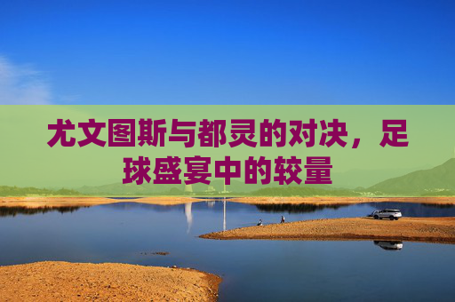 尤文图斯与都灵的对决，足球盛宴中的较量