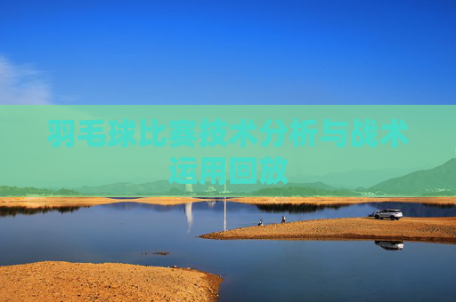 羽毛球比赛技术分析与战术运用回放