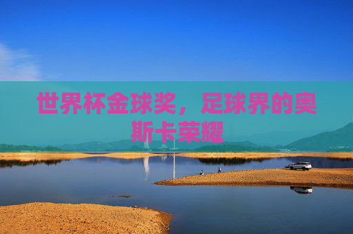 世界杯金球奖，足球界的奥斯卡荣耀