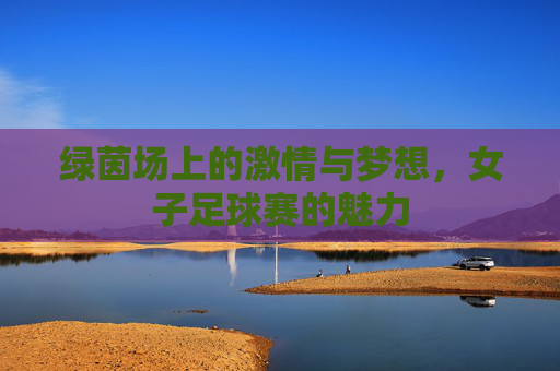 绿茵场上的激情与梦想,女子足球赛的魅力 绿茵场上的激情与梦想,女子足球赛的魅力