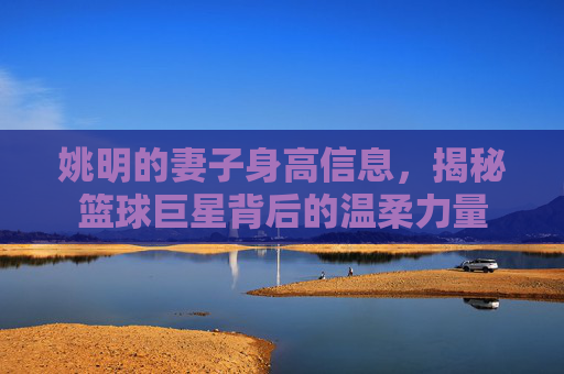 姚明的妻子身高信息，揭秘篮球巨星背后的温柔力量