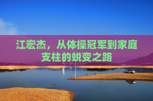 江宏杰，从体操冠军到家庭支柱的蜕变之路