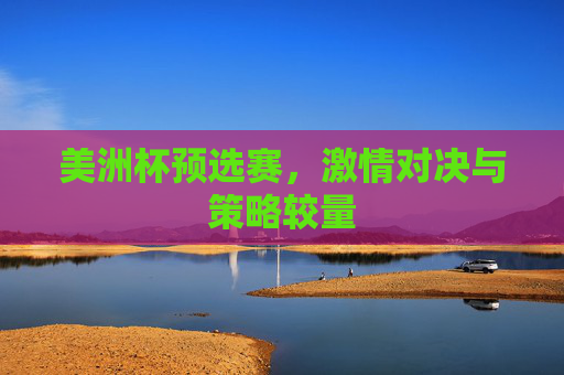 美洲杯预选赛,激情对决与策略较量 美洲杯预选赛,激情对决与策略较量