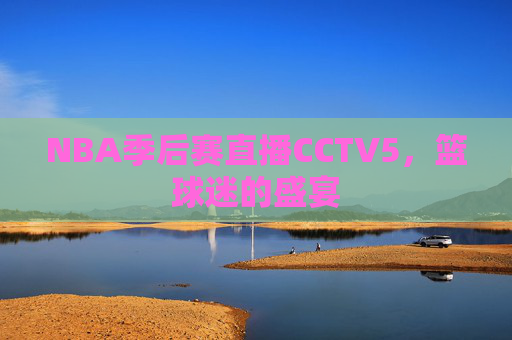 NBA季后赛直播CCTV5,篮球迷的盛宴 NBA季后赛直播CCTV5,篮球迷的盛宴