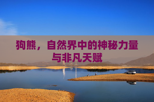 狗熊，自然界中的神秘力量与非凡天赋