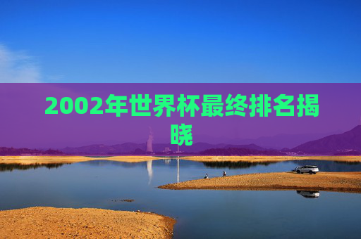 2002年世界杯最终排名揭晓
