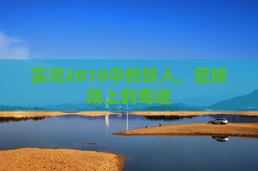 实况2010中的妖人,足球场上的奇迹 实况2010中的妖人,足球场上的奇迹
