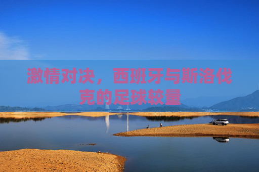 激情对决，西班牙与斯洛伐克的足球较量