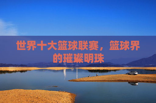 世界十大篮球联赛,篮球界的璀璨明珠 世界十大篮球联赛,篮球界的璀璨明珠