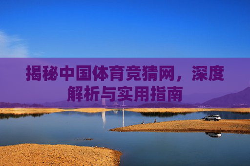 揭秘中国体育竞猜网，深度解析与实用指南