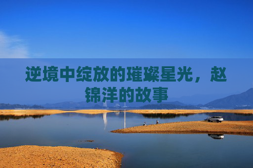 逆境中绽放的璀璨星光,赵锦洋的故事 逆境中绽放的璀璨星光,赵锦洋的故事
