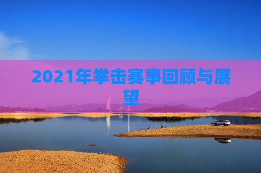2021年拳击赛事回顾与展望