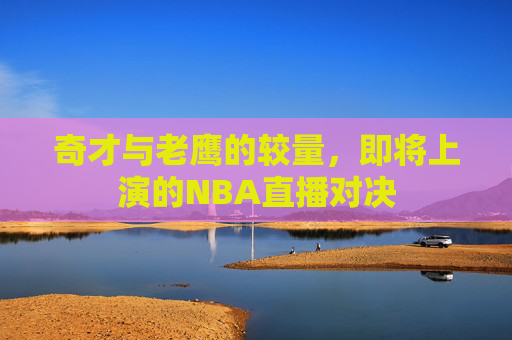 奇才与老鹰的较量，即将上演的NBA直播对决