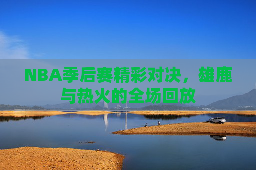 NBA季后赛精彩对决，雄鹿与热火的全场回放