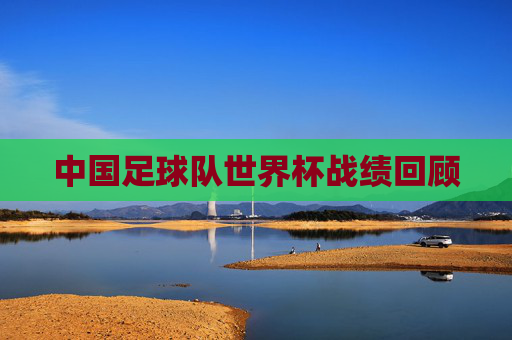 中国足球队世界杯战绩回顾