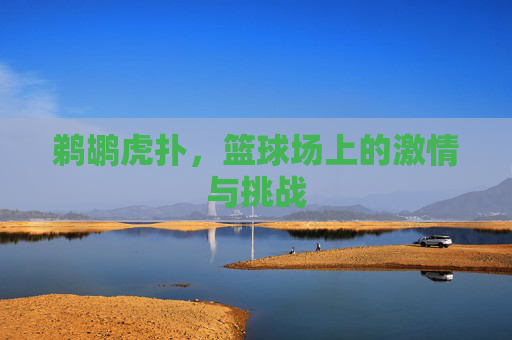鹈鹕虎扑，篮球场上的激情与挑战